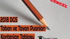 DGS Görsel Sanatlar Bölümü 2018 Kontenjanları – Taban Puanları