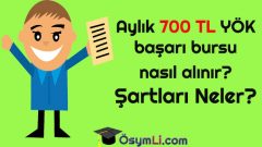 Aylık 700 TL YÖK başarı bursu nasıl alınır? Şartları Neler?