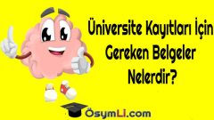 Üniversite Kayıtları İçin Gereken Belgeler Nelerdir?