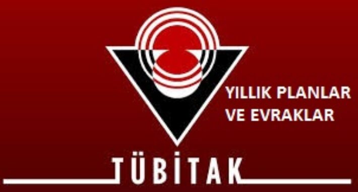 TÜBİTAK 4006 proje egzersizi planı İNDİR