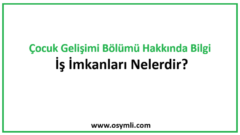 Çocuk Gelişimi Bölümü Hakkında Bilgi | İş İmkanları Nelerdir?