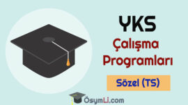 2027 YKS-TYT Sözel (TS) Çalışma Programı İndir