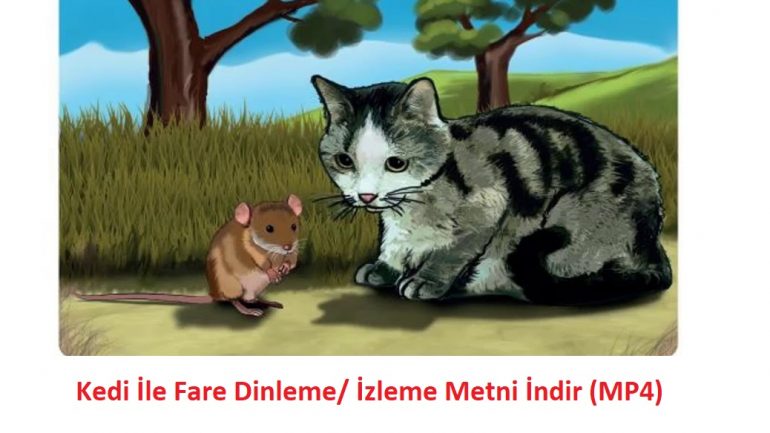 8. Sınıf Kedi ile Fare Dinleme Metni