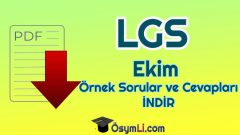 2020 LGS Ekim Ayı Örnek Sorular ve Cevapları PDF İNDİR (MEB)