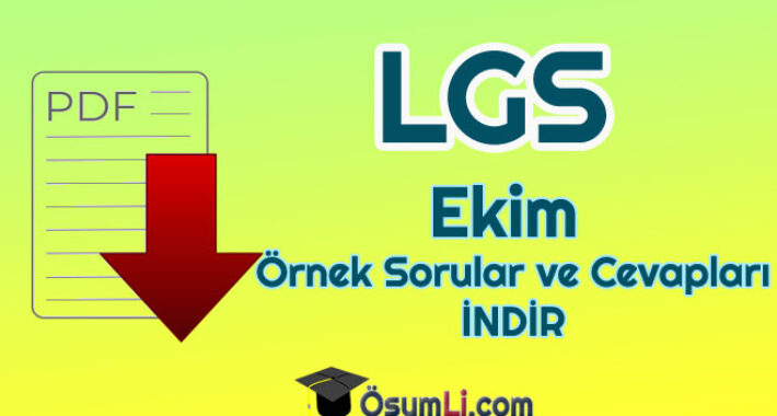 2020 LGS Ekim Ayı Örnek Sorular ve Cevapları PDF İNDİR (MEB)