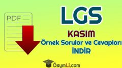 2020 LGS Kasım Ayı Örnek Sorular ve Cevapları PDF İNDİR (MEB)