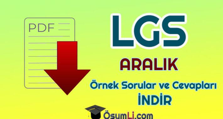 2020 LGS Aralık Ayı Örnek Sorular ve Cevapları PDF İNDİR (MEB)