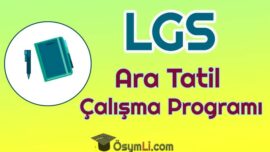 2027 LGS Ara Tatil Çalışma Programı İndir