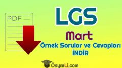 2020 LGS Mart Ayı Örnek Sorular ve Cevapları PDF İNDİR (MEB)
