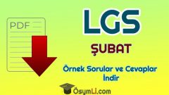 2020 LGS Şubat Ayı Örnek Sorular ve Cevapları PDF İNDİR (MEB)