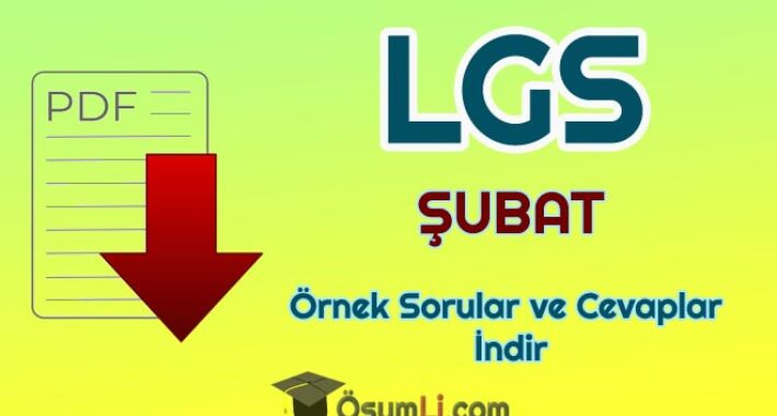 2020 LGS Şubat Ayı Örnek Sorular ve Cevapları PDF İNDİR (MEB)