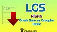 2020 LGS Nisan Ayı 2.Örnek Sorular ve Cevapları PDF İNDİR (MEB)