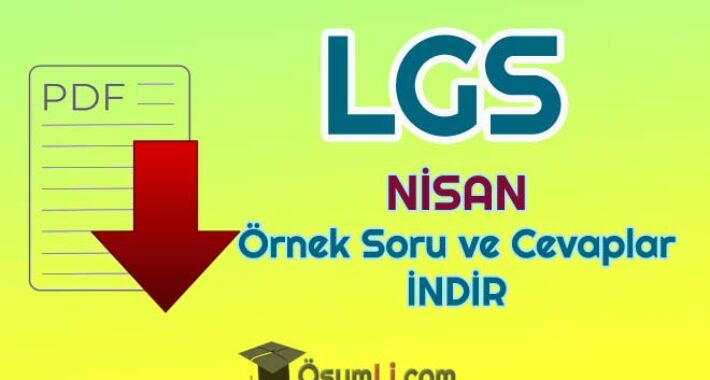 2020 LGS Nisan Ayı 2.Örnek Sorular ve Cevapları PDF İNDİR (MEB)