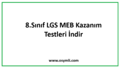 2020 LGS Nisan Ayı Örnek Sorular ve Cevapları PDF İNDİR (MEB)