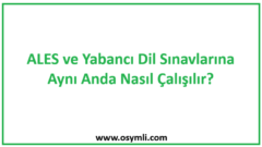 ALES ve Yabancı Dil Sınavlarına Aynı Anda Nasıl Çalışılır?