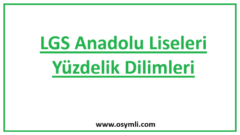 2024 LGS Anadolu Liseleri Yüzdelik Dilimleri (MEB)
