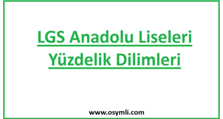 2024 LGS Anadolu Liseleri Yüzdelik Dilimleri (MEB)