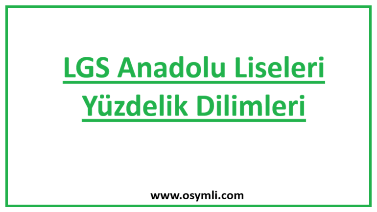 2024 LGS Anadolu Liseleri Yüzdelik Dilimleri (MEB)