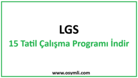 2027 LGS 15 Tatil Çalışma Programı İndir