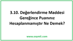3.10. Değerlendirme Maddesi Gereğince Puanınız Hesaplanmamıştır Ne Demek?