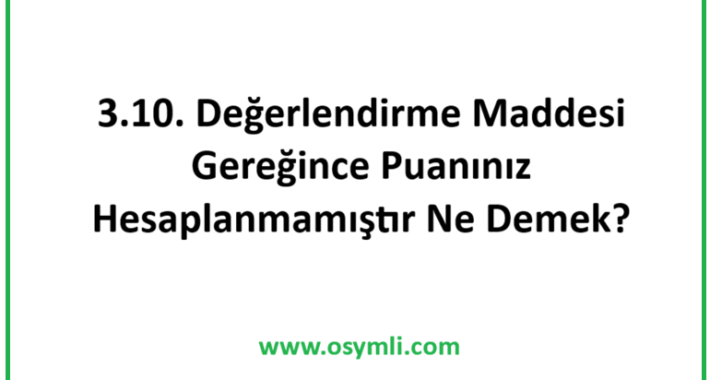 3.10. Değerlendirme Maddesi Gereğince Puanınız Hesaplanmamıştır Ne Demek?