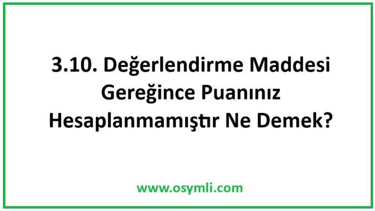3.10. Değerlendirme Maddesi Gereğince Puanınız Hesaplanmamıştır Ne Demek?